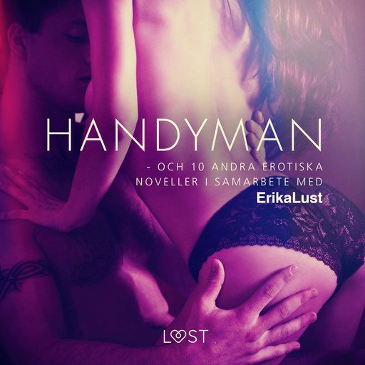 Handyman - och 10 andra erotiska noveller i samarbete med Erika Lust, Forfattere Diverse