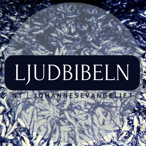 NT | Johannesevangeliet, Ljudbibeln