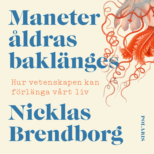 Maneter åldras baklänges, Nicklas Brendborg