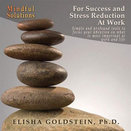 Mindful Solutions for Success and Stress Reduction at Work, Elisha Goldstein