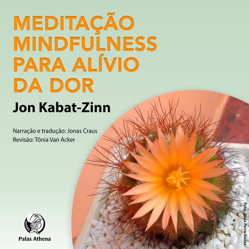 Meditação Mindfulness para alívio da dor, Jon Kabat Zinn