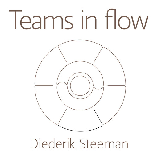 Teams in flow, Diederik Steeman