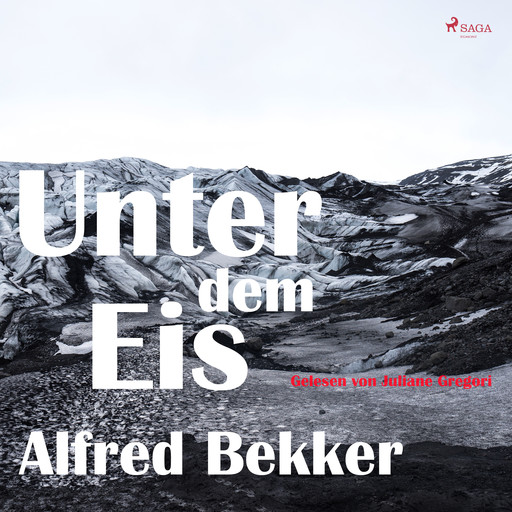 Unter dem Eis, Alfred Bekker