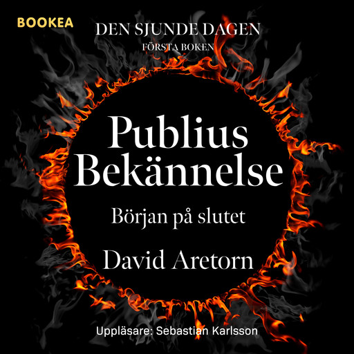 Publius Bekännelse: Början på slutet, David Aretorn