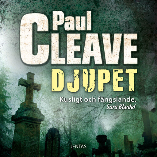 Djupet, Paul Cleave