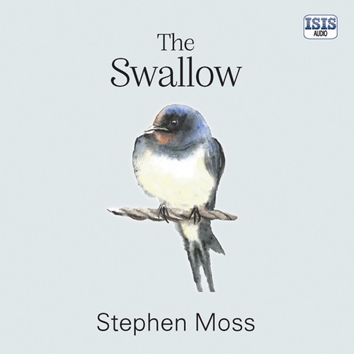 The Swallow, Stephen Moss