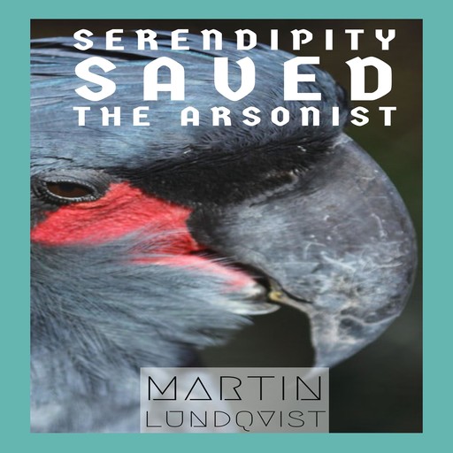 Serendipity Saved the Arsonist, Martin Lundqvist