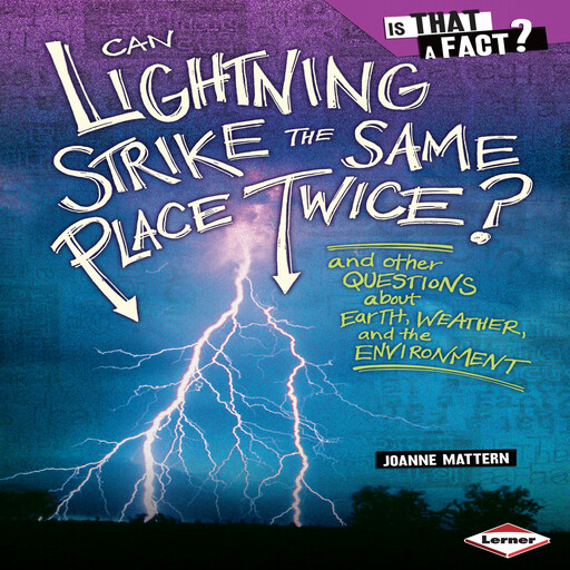 Can Lightning Strike the Same Place Twice?, Joanne Mattern