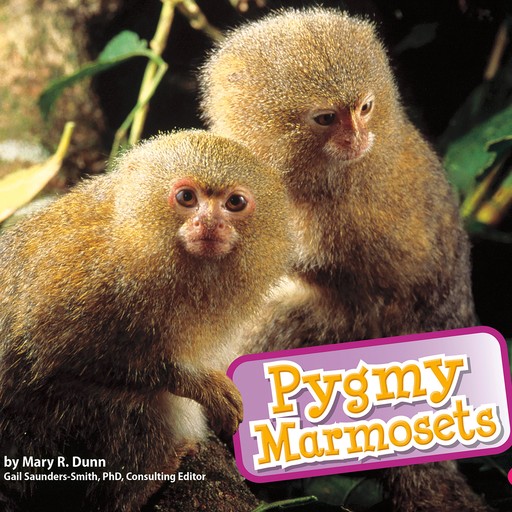 Pygmy Marmosets, Mary Dunn