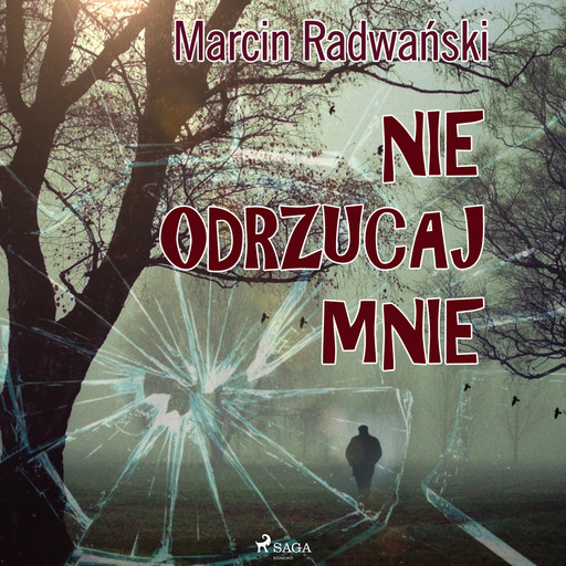 Nie odrzucaj mnie, Marcin Radwański