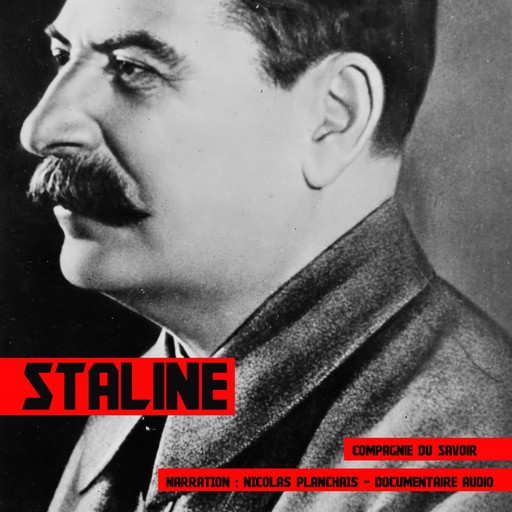 Staline, une biographie, John Mac