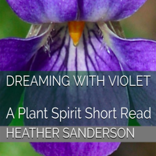 Dreaming with Violet, Heather Sanderson
