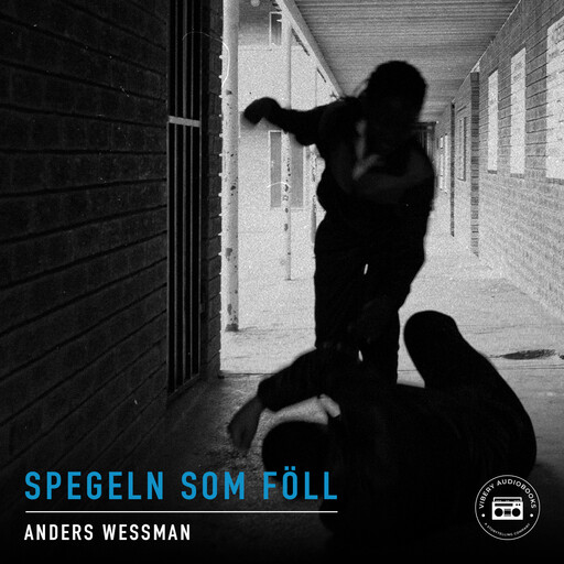 Spegeln som föll - en kriminalroman, Anders Wessman