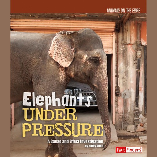 Elephants Under Pressure, Kathy Allen