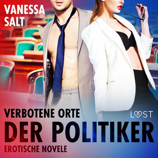 Verbotene Orte: Der Politiker - Erotische Novelle, Vanessa Salt