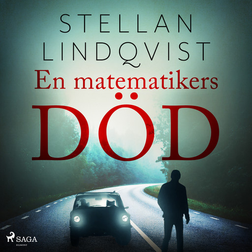 En matematikers död, Stellan Lindqvist