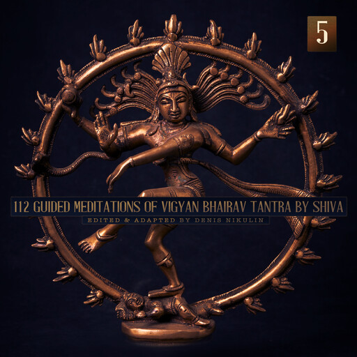 112 Guided Meditations of Vigyan Bhairav Tantra by Shiva (Part 5), Denis Nikulin