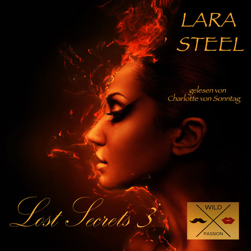 Lost Secrets, 3 (ungekürzt), Lara Steel