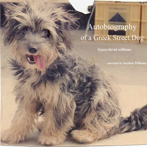 Autobiography of a Greek Street Dog, David Williams