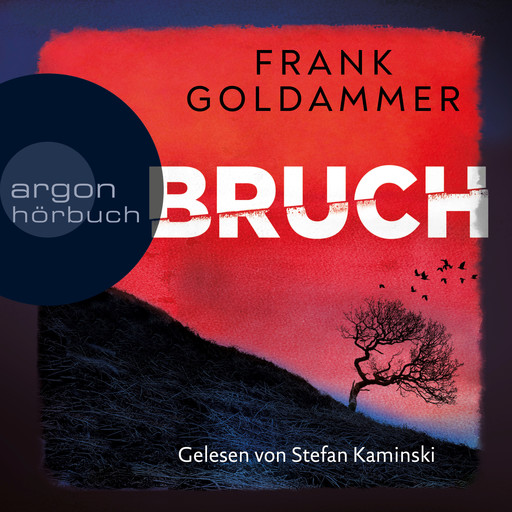 Bruch - Ein dunkler Ort - Felix Bruch, Band 1 (Ungekürzte Lesung), Frank Goldammer