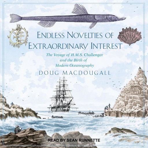 Endless Novelties of Extraordinary Interest, Doug Macdougall