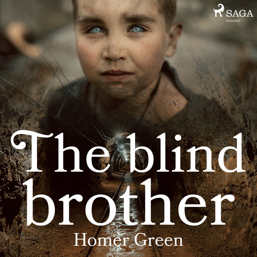 The Blind Brother, Homer Green