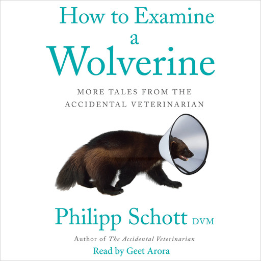 How to Examine a Wolverine - More Tales from the Accidental Veterinarian (Unabridged), DVM, Philipp Schott