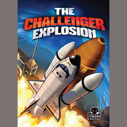 The Challenger Explosion, Adam Stone