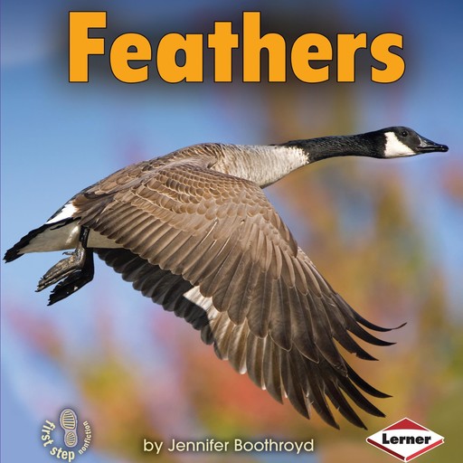 Feathers, Jennifer Boothroyd