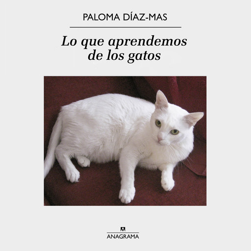 Lo que aprendemos de los gatos, Paloma Díaz-Mas