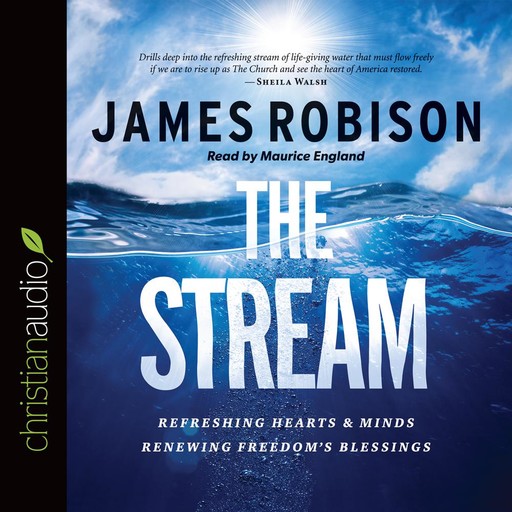 The Stream, James Robison