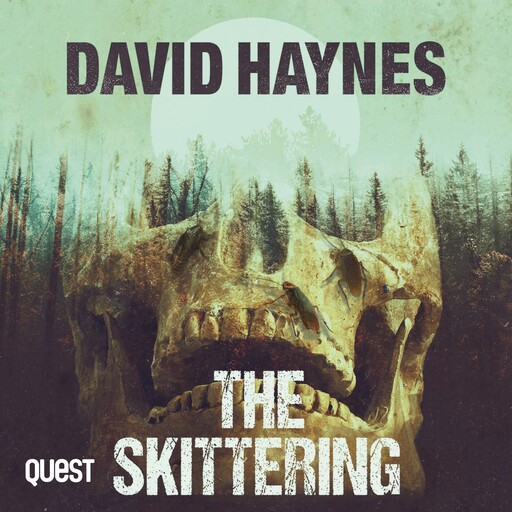 The Skittering, David Haynes