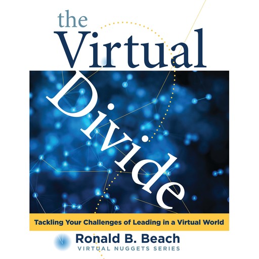 The Virtual Divide, Ronald B. Beach