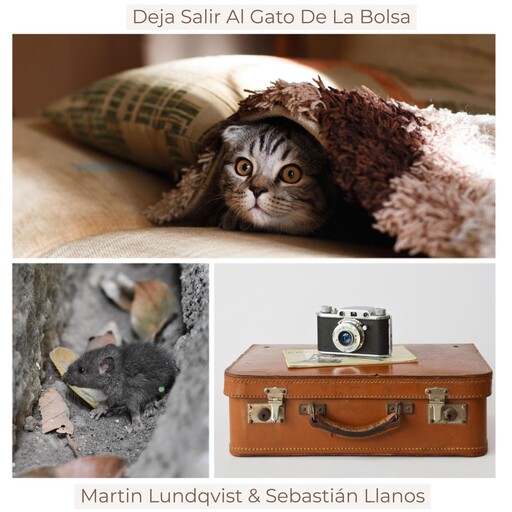 Deja Salir Al Gato De La Bolsa, Martin Lundqvist, Sebastian Llanos