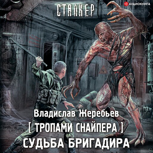 Тропами Снайпера. Судьба Бригадира, Владислав Жеребьёв