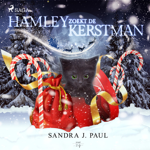 Hamley zoekt de kerstman, Sandra J. Paul