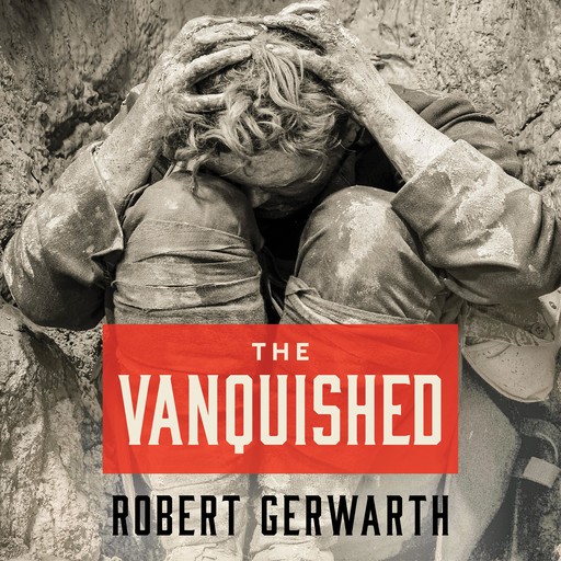 The Vanquished, Robert Gerwarth