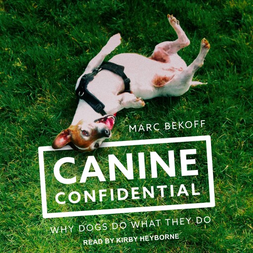 Canine Confidential, Marc Bekoff