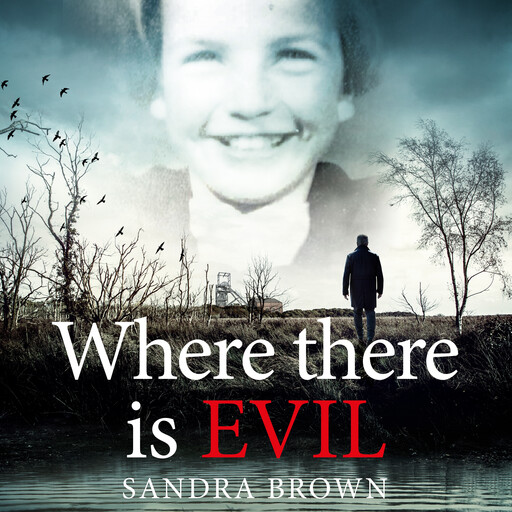 Where There Is Evil, Sandra Brown