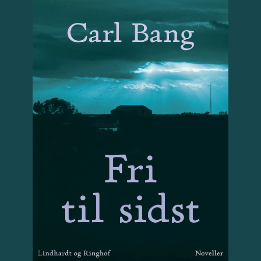 Fri til sidst, Carl Bang