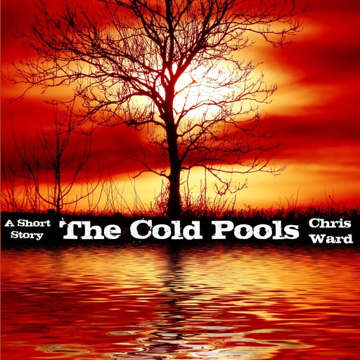 The Cold Pools, Chris Ward