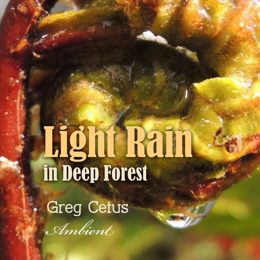 Light Rain in Deep Forest, Greg Cetus