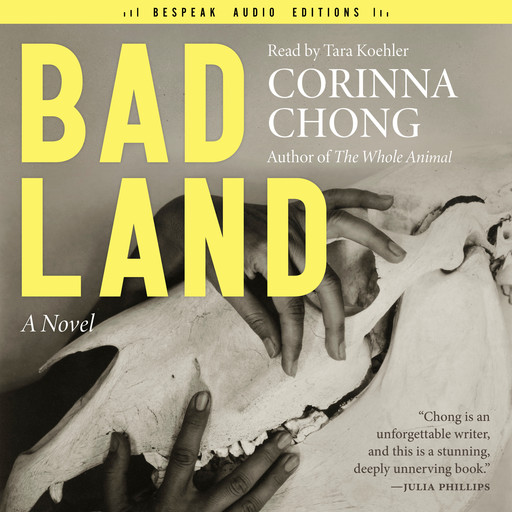 Bad Land (Unabridged), Corinna Chong