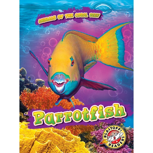 Parrotfish, Kate Moening