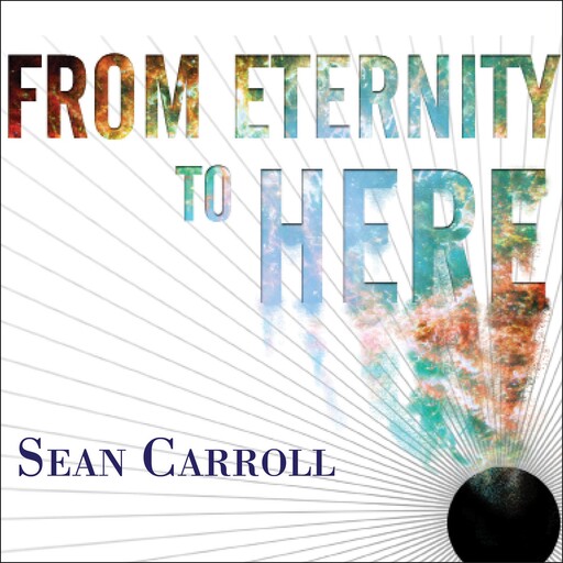 From Eternity to Here, Sean Carroll