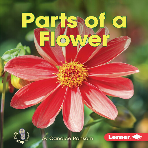 Parts of a Flower, Candice Ransom