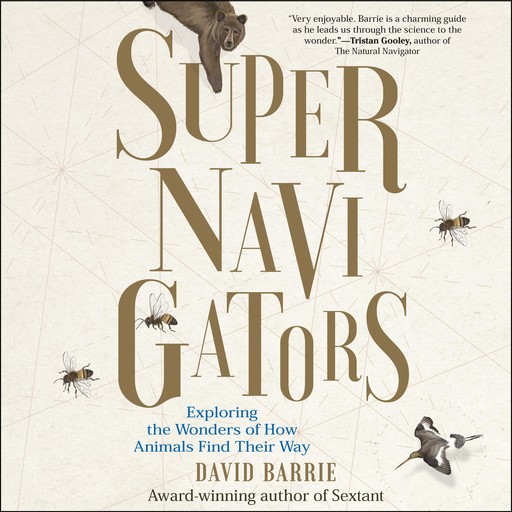 Supernavigators, David Barrie