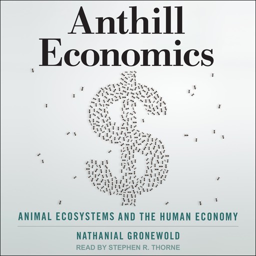 Anthill Economics, Nathanial Gronewold