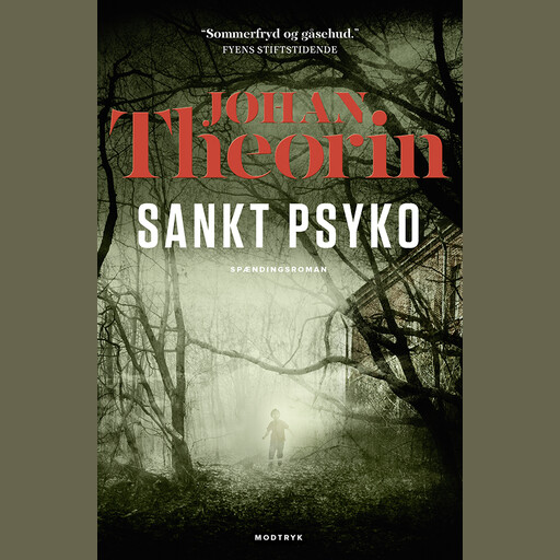 Sankt Psyko, Johan Theorin