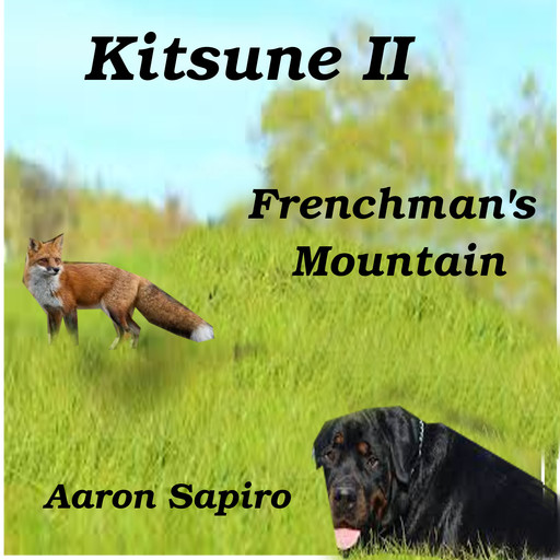 Kitsune II - Frenchmans Mountain, Aaron Sapiro